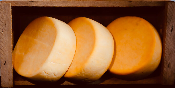 queso de varios tipos 