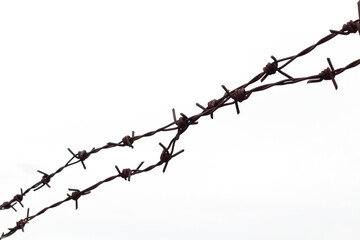 Fototapeta na wymiar silhouette barbed wire on white background