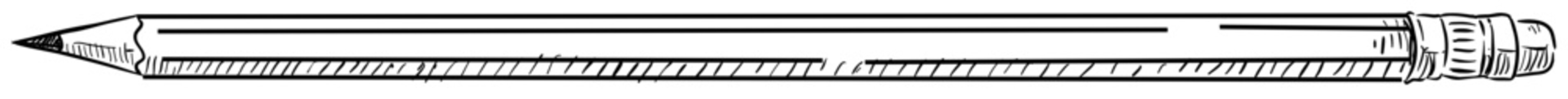 pencil handdrawn illustration