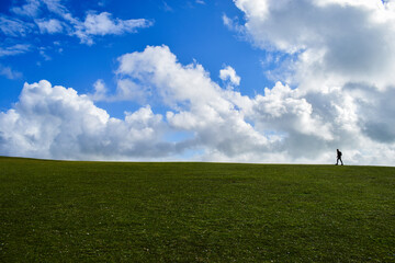 Samotny wędrowca na zielonym polu trawy
