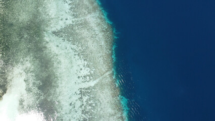 Aerial birds eye view of coral reef ecosystem in crystal clear water transitioning into deep blue...