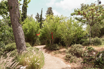 Path  through the botanical garden in the famous artists village Ein Hod near Haifa in northern...