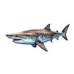 Naklejka premium Tiger shark isolated on transparent background