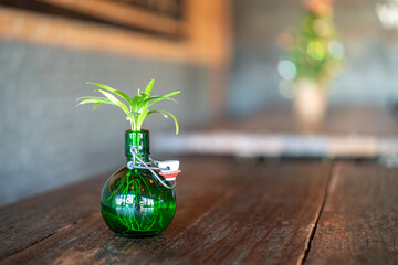 A small house plant in the green glass bottle, placed on the wooden table for interior decoration....