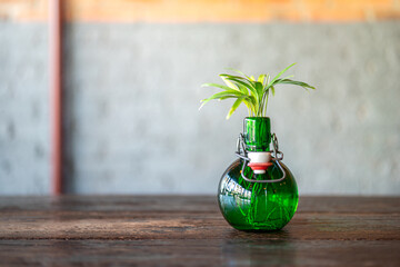 A small house plant in the green glass bottle, placed on the wooden table for interior decoration....