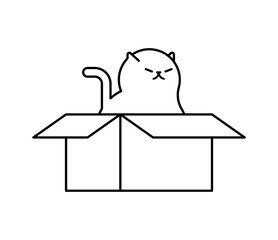 Cat in box. Pet in cardboard box. House for cat. - 696189455
