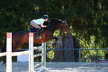 Brown horse on the riding arena with rider flying over an obstacle.