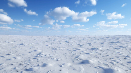 Fototapeta na wymiar Expansive Snow Field 