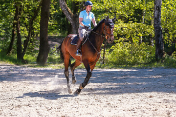 Rider with horse on the riding arena during a relaxed ride.