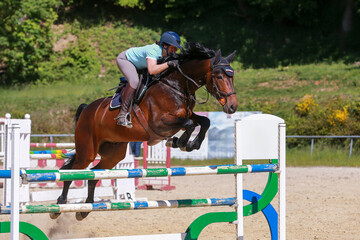 Brown horse with rider during jumping training on the riding arena.