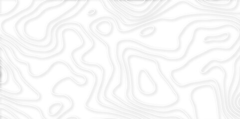 White contour line background