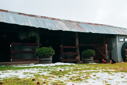 An opened chicken farm in the winter with snowing