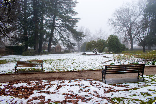bench in the snow at the public park