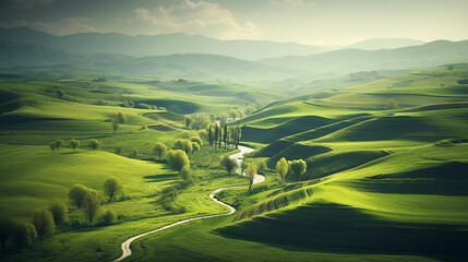 Summer pastoral landscape
