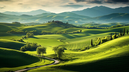 Summer pastoral landscape