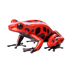 Poison dart frog isolated on transparent background