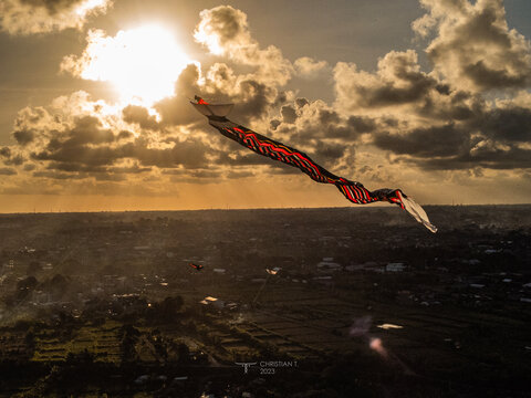 Majestic Bali Kites