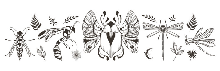 Mystical celestial moth, beetle, dragonfly, wasp clipart bundle, magic black and white insects silhouettes in vector, hand drawn isolated elements set