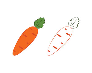 Carrot coloring book. Ripe orange carrots. A ripe vegetable garden. An image of a carrot for a children s coloring book. Vector illustration on a white background