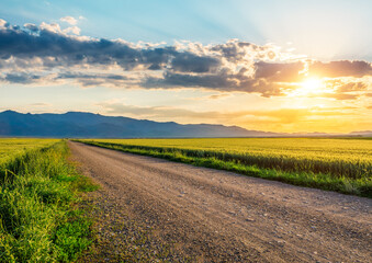 Country gravel road and green wheat field and mountain nature landscape at sunset