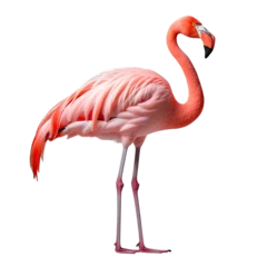 Fotobehang Transparent Png of Beautiful Flamingo © Sabbir Dzns