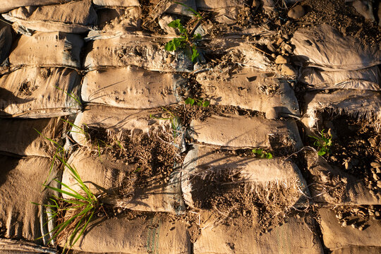 Aged sandbags on the ground