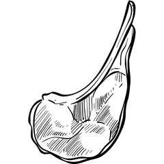 ribs meat handdrawn illustration