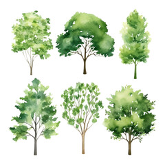 Collection of watercolor illustration green tree isolated on background. PNG transparent background.