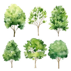 Collection of watercolor illustration green tree isolated on background. PNG transparent background.