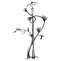 Obraz premium plants handdrawn illustration