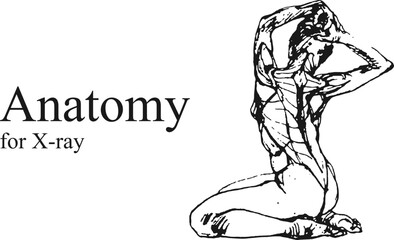 Hand drawn anatomy on white and black backgrounds. Anatomy human body connection, Vector hand drawn illustration