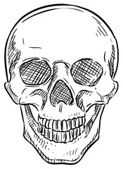 skulls handdrawn illustration