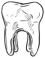 tooth handdrawn illustration
