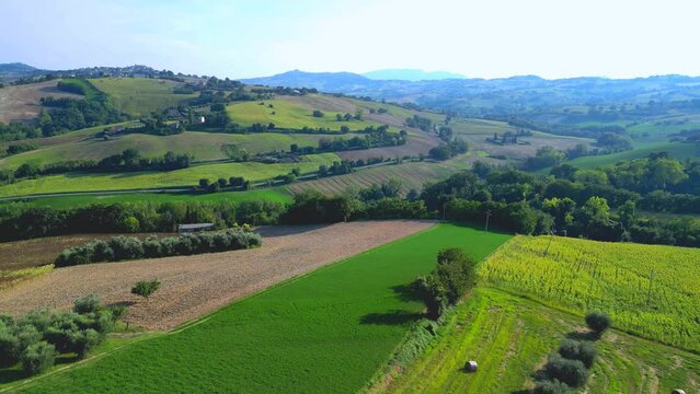 Mysterious aerial pullback from Belmonte Piceno in the Fermo province, Marche region, Italy, with strips of cultivated land, round hay bales, thickets, trees, intricate hillscape, gentle wavy terrain