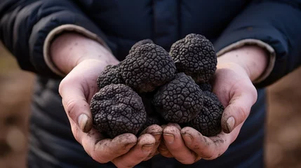 Foto op Plexiglas Close-up of hands holding a black truffle, showcasing its texture and richness. © Andrey