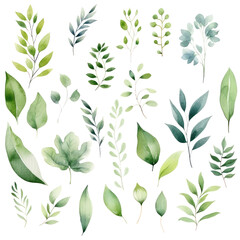 Collection of watercolor illustration small green leaves isolated on background. PNG transparent background.