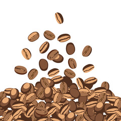 Vector image of the raosted coffee beans isolated on the white background.