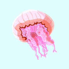 Vector pink jellyfish swiming sealife animal on white