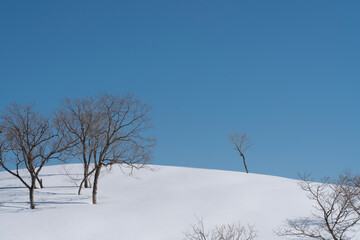 雪の丘と青空