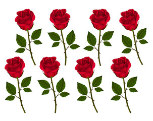 red rose  flower pattern textile design transparent png