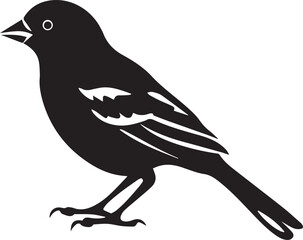 Black silhouette Sparrow bird on white background