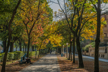 Un bonito parque