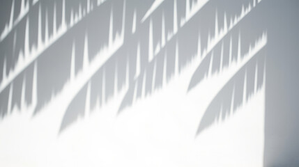 Leaves shadow overlays on white background. Window light shadow on the wall overlay. Sun Shadows Play