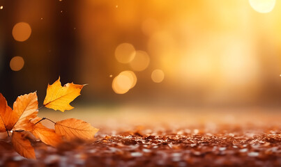 autumn leaves background.