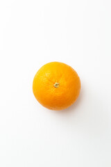 白背景にネーブルオレンジ