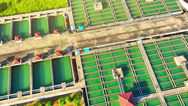 From above, a drone captures the heart of a wastewater treatment plant, where nature and engineering unite to clean polluted water. A vital step in preserving our ecosystems.
