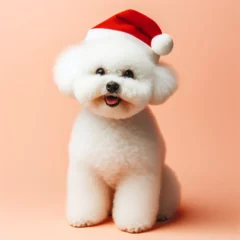 Badezimmer Foto Rückwand Dogs dressed like Christmas　クリスマスらしい格好をした犬 © Churin Art Works