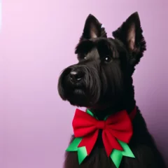 Papier Peint photo Bulldog français Dogs dressed like Christmas　クリスマスの格好をした犬