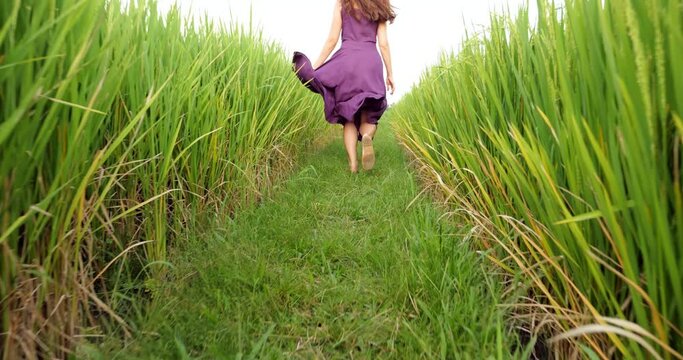 In this captivating scene, tourist woman joyfully runs along green border between vibrant rice fields. Camera follows from low angle, capturing mesmerizing sight in slow motion