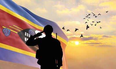 Silhouette of a soldier with the Eswatini flag stands against the background of a sunset or...